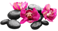 Hot Stone Massage & Steam Therapy