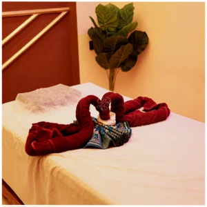 bluelounge spa ambiance image 30 6 Choose Your Perfect Escape: Swedish or Aromatherapy | Blue Lounge Spa